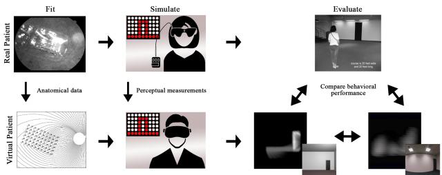 Virtual and real patients for bionic vision. Reproduced under CC-BY from https://doi.org/10.6084/m9.figshare.14079893.v1