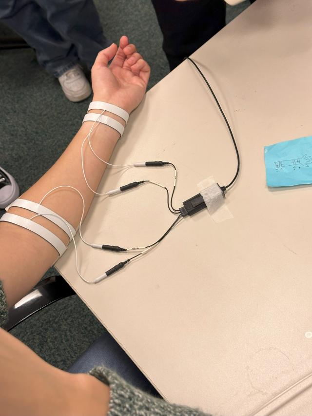 electrodes